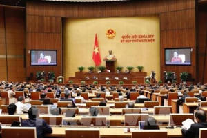 Đất nước trông chờ và hy vọng