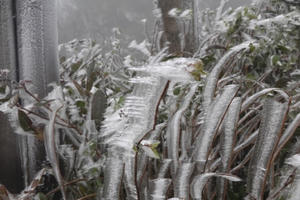 Không khí lạnh suy yếu dần, Bắc Bộ duy trì rét đậm, vùng núi rét hại