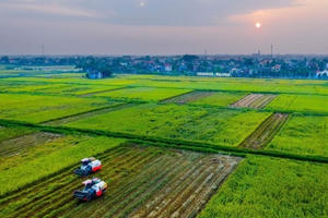 Hải Phòng: Xúc tiến đầu tư vào lĩnh vực nông nghiệp, nông thôn Hải Phòng: Xúc tiến đầu tư vào lĩnh vực nông nghiệp, nông thôn