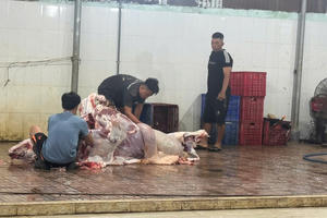 Đồng Nai: Xử lý 2 cơ sở giết mổ heo, bò do vi phạm vệ sinh, an toàn thực phẩm