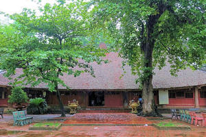 Quy hoạch bảo quản, phục hồi Di tích Đình Thổ Tang