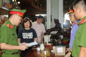 Nghệ An: Giám đốc công ty Anh Pháp Việt bị khởi tố về tội buôn lậu