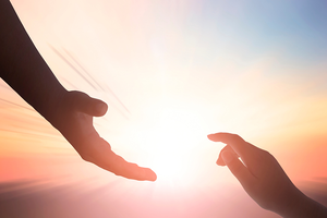 Sự thật về một kiếp người