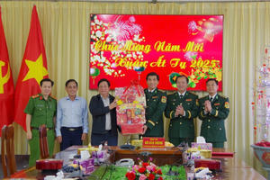 Lãnh đạo tỉnh An Giang thăm, chúc Tết lực lượng Bộ đội Biên phòng tỉnh