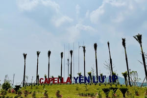 Capella Land bị phạt vì xây dựng không phép ở Bắc Giang: Doanh nghiệp này kinh doanh ra sao?