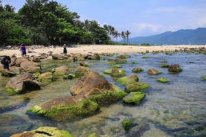 Đà Nẵng: Du lịch trải nghiệm bình minh trên vịnh Nam Ô bằng thuyền thúng