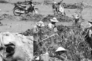 Phú Yên: Thương lái “hét giá” đá đen, dân đổ xô đào bới