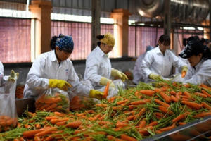 Hơn 870 doanh nghiệp dừng hoạt động, giảm quy mô do Covid-19