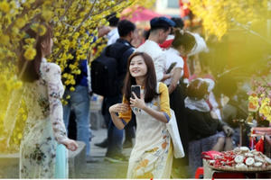 Ngắm đường mai, phố ông đồ tuyệt đẹp khiến người Sài Gòn đổ xô "check in" Ngắm đường mai, phố ông đồ tuyệt đẹp khiến người Sài Gòn đổ xô "check in"