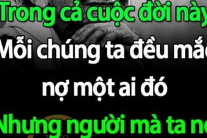 Tháng 7, cho những bông hồng cài áo…