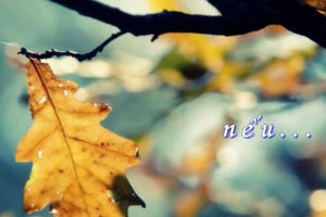 Radio Yêu thương Plus số 13: Nếu chỉ còn một ngày để sống?