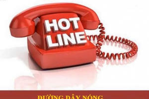 Đường dây nóng phản ánh về ATGT dịp Tết 2022