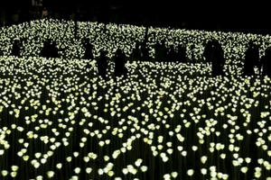 Hồng Kông rực rỡ chào đón Valentine