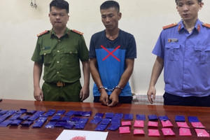 Phá "mắt xích" trong đường dây vận chuyển ma túy từ nước ngoài về Việt Nam