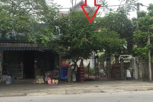 Hải Dương: Người cha già cay đắng đi đòi lại đất sau bản án ly hôn của con trai