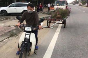 Người đàn ông "hồn nhiên" đánh cả xe kéo tự chế đi trộm cây cảnh trên quốc lộ