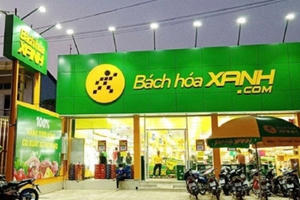 MWG dự kiến bán tối đa 10% cổ phần của Bách Hóa Xanh