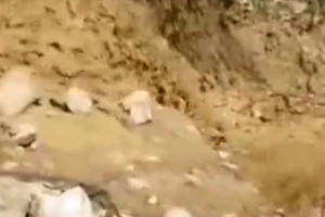 Lũ ống bất ngờ xuất hiện giữa trời nắng ráo ở Kỳ Sơn