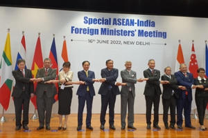 Bộ trưởng Bùi Thanh Sơn dự Hội nghị đặc biệt Bộ trưởng Ngoại giao ASEAN-Ấn Độ