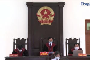 Sau phán quyết của Toà Tuyên Quang, người trồng chè tiếp tục kêu cứu Toà tối cao!