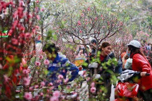 Tết đã cận kề Tết đã cận kề