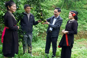 Quang Bình thực hiện hiệu quả công tác giảm nghèo