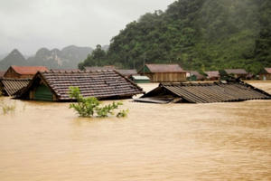 Hoa vẫn nở trên đỉnh lũ miền Trung
