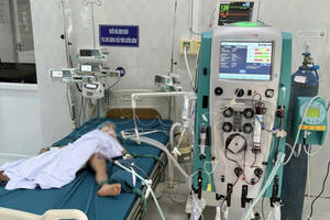 3 cháu bé ở Gia Lai thương vong sau khi bị ong vò vẽ đốt