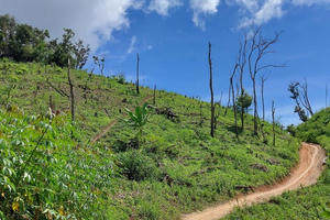 Công an Phú Yên khen thưởng các cá nhân có công cứu giúp sản phụ sinh con tại rẫy