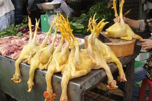 Sử dụng chất cấm trong chăn nuôi: Người Việt đang tự giết nhau