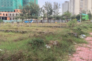 Luật Đất đai (sửa đổi): Đất không có giấy tờ trước 1/7/2014 được cấp sổ đỏ