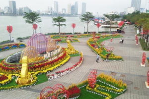 Đường hoa Đà Nẵng tuyệt đẹp, rực rỡ những ngày cuối năm