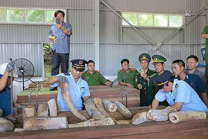 Vụ vận chuyển trái phép ngà voi ở Đà Nẵng: Phó Thủ tướng yêu cầu khẩn trương điều tra