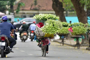 Tháng tư về, hoa loa kèn tinh khôi xuống phố Hà Nội