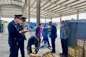 Quảng Ninh: Gần 800.000 USD hải sản tươi sống thông quan sớm