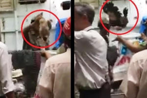 Sẽ kiểm điểm cán bộ bẻ khóa vào nhà dân bắt gà Đông Tảo