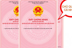 Nghệ An: Lợi dụng vỏ bọc cán bộ phường, lừa đảo chiếm đoạt tài sản để huy động vốn