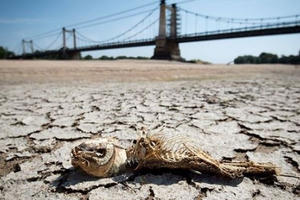 Sóng nhiệt tấn công châu Âu - viễn cảnh tiêu cực đến mức nào? Sóng nhiệt tấn công châu Âu - viễn cảnh tiêu cực đến mức nào?