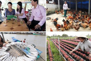 Một số chương trình tín dụng chính sách đang được đề nghị xem xét tăng mức cho vay Một số chương trình tín dụng chính sách đang được đề nghị xem xét tăng mức cho vay