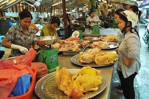 Cách phát hiện và phòng chống kẻ mang tật bệnh tên là "vàng ô"