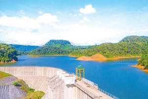 Nhiều dự án thuỷ điện tại tỉnh Kon Tum vi phạm Luật đất đai