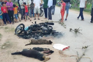 Nghi trộm chó, một người bị vây đánh chết, đốt xe máy