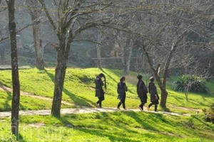 Dự báo thời tiết ngày 29/3: Thời tiết Bắc Bộ có nắng nhẹ