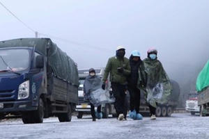 Bắc Bộ tiếp tục rét đậm, rét hại, phải đảm bảo đời sống người dân và an toàn sản xuất