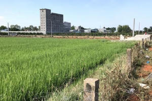 Kỷ luật Giám đốc Sở Tài nguyên Môi trường tỉnh Bình Thuận