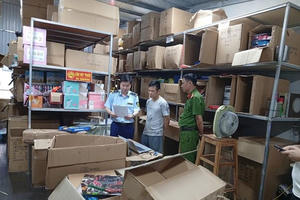 3.000 đồ chơi trẻ em nhập lậu bị bắt giữ tại Nam Định