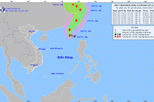 Áp thấp nhiệt đới mạnh lên thành bão số 2