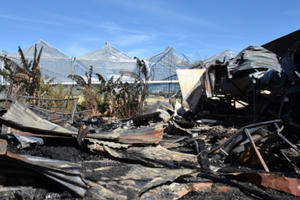 Lâm Đồng: Cháy lớn lúc rạng sáng, xưởng gỗ bị thiêu rụi