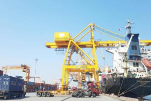 Hải Phòng: Thực hiện chính sách miễn lưu bãi tại cảng dịp Tết Nguyên đán Nhâm Dần Hải Phòng: Thực hiện chính sách miễn lưu bãi tại cảng dịp Tết Nguyên đán Nhâm Dần