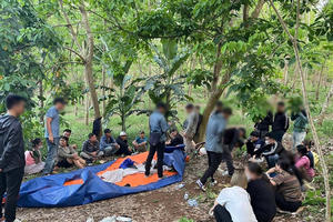 Bắt nhóm đối tượng nhiều tiền án, đánh bạc trong rừng tại Nghệ An